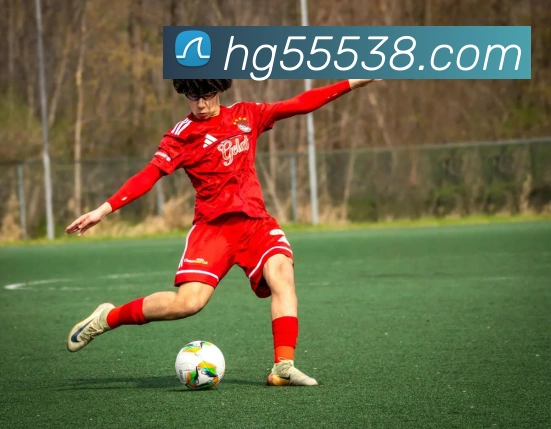 奖项证书